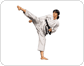 Karateka Bild