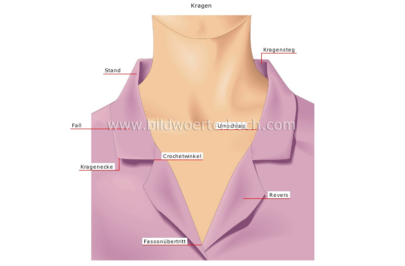 Beispiele für Kragen Bild
