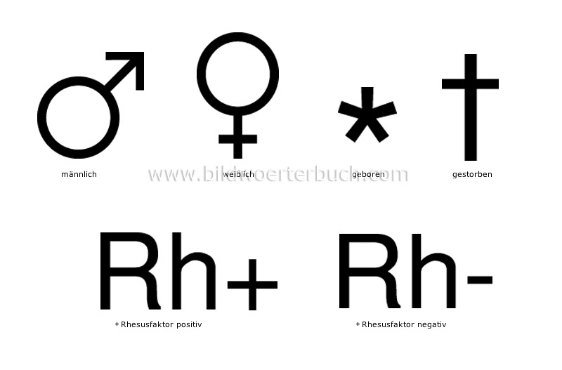 Biologie Bild