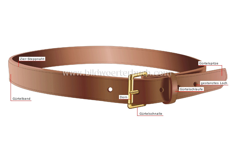 belt image