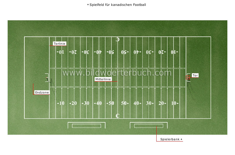 kanadischer Football Bild