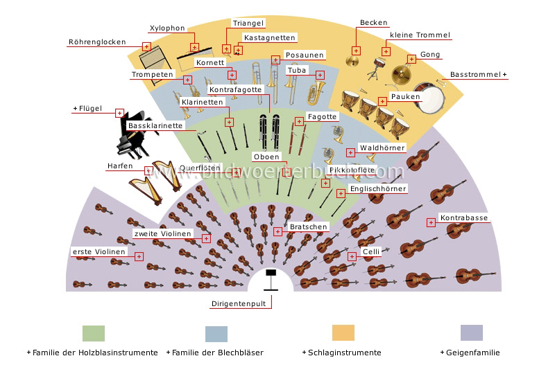 Sinfonieorchester Bild